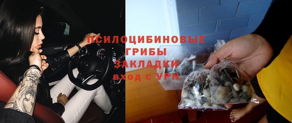 шишки Балабаново