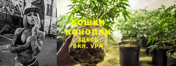 дживик Покровск
