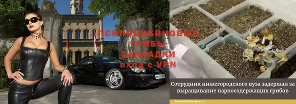 шишки Балабаново