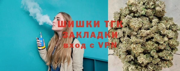 шишки Балабаново