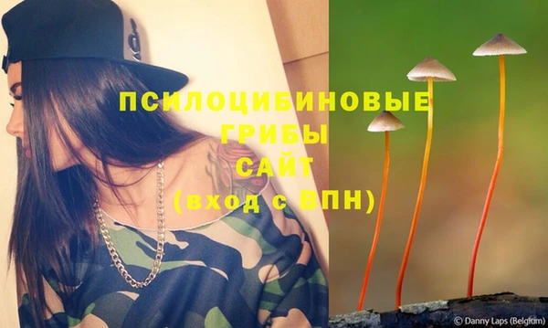 гидра Баксан