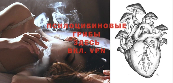 гидра Баксан