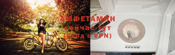 шишки Балабаново