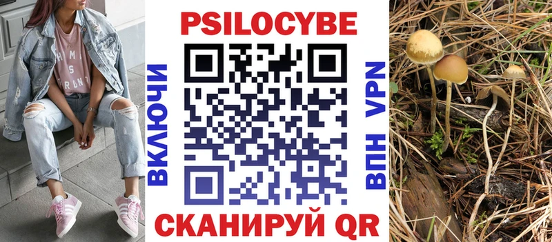 продажа наркотиков  Губаха  omg tor  Псилоцибиновые грибы Psilocybe 